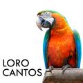 Loro