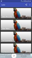 Loro poster