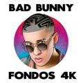 BadBunny Fondos de Pantalla 4K