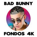 BadBunny Fondos de Pantalla 4K APK