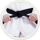 Taekwendo guide APK