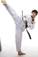 Taekwendo guide poster
