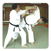 Aikido guide