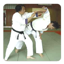 Aikido guide APK