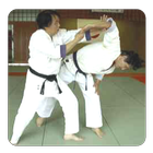 Aikido icon