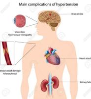 High Blood Pressure tips screenshot 1