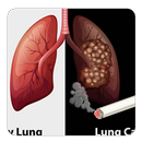 Lung cancer guide APK