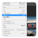 copy and Paste guide APK