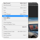 copy and Paste guide icon