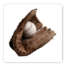 Baseball guide APK