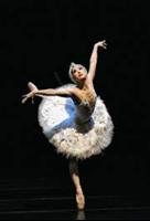 Ballet guide 截图 1