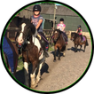 Horse riding guide
