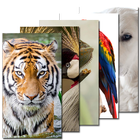 Animals Wallpaper آئیکن