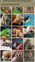 Animals Wallpaper screenshot 1