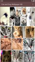 Cat and Dog Wallpaper HD โปสเตอร์