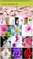 Flower Wallpaper Affiche