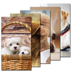 Dog Wallpaper-icoon