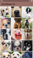 Dog Wallpaper ภาพหน้าจอ 1