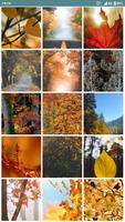 Autumn Wallpaper Ekran Görüntüsü 1