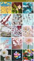 برنامه‌نما Spring Wallpaper عکس از صفحه