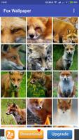 Fox Wallpaper Affiche