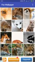 Fox Wallpaper 截图 1