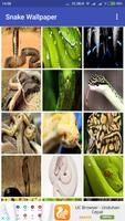 Snake Wallpaper স্ক্রিনশট 1