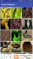 Snake Wallpaper স্ক্রিনশট 2