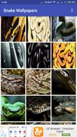 Snake Wallpapers imagem de tela 2