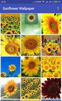 Sunflower Wallpaper Ekran Görüntüsü 1