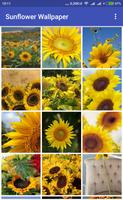 برنامه‌نما Sunflower Wallpaper عکس از صفحه