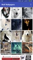 Wolf Wallpapers Affiche