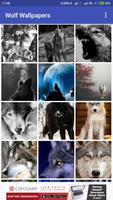 Wolf Wallpapers 截图 1