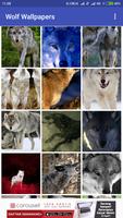 Wolf Wallpapers 截图 2