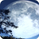 Moonlight Wallpaper aplikacja