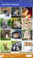 Cute Kitten Wallpaper ポスター