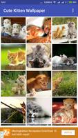 Cute Kitten Wallpaper スクリーンショット 1