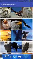 Eagle Wallpapers Affiche