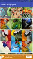 Parrot Wallpapers ảnh chụp màn hình 2