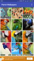 Parrot Wallpapers captura de pantalla 2
