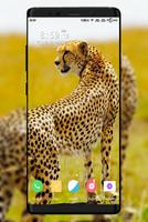 Cheetah Wallpaper اسکرین شاٹ 3