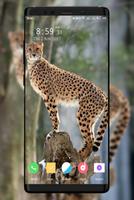 Cheetah Wallpaper تصوير الشاشة 2
