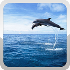 Dolphin Wallpaper biểu tượng