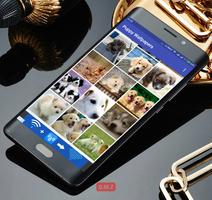 پوستر Puppy Wallpapers