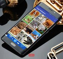 Puppy Wallpapers syot layar 2