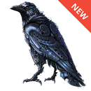Crow wallpaper APK