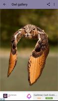 Owl Wallpaper imagem de tela 3