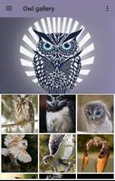 Owl Wallpaper Plakat