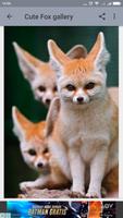 Cute Fox Wallpaper 截圖 3