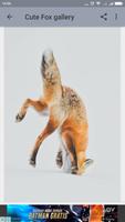 Cute Fox Wallpaper スクリーンショット 2